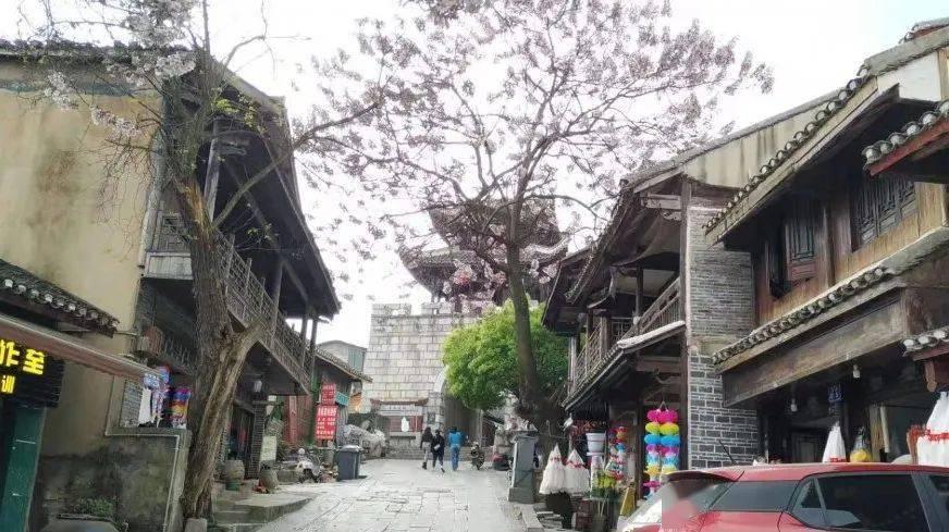 元气战姬学院